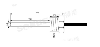 SLST1-25 管道螺紋，Ⅱ型，溫度，傳感器 