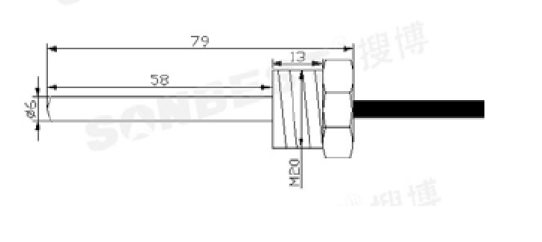 SLST-25管道螺纹DS18B20、PT100、PT1000防水温度传感器探头4分可定制