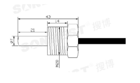 SLST2-24, 管道,螺纹I型,PT100,温度,传感器