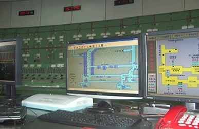 黑龙江双鸭山国电厂在线监测系统一期工程成功