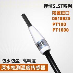 SLST3-8深水检测DS18B20芯、PT100、PT1000铂热电阻温度传感器